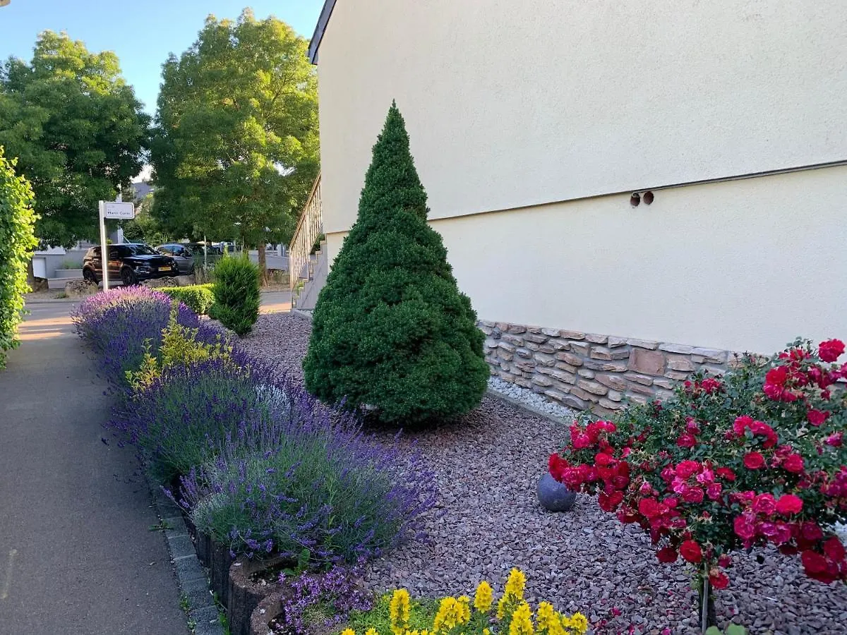 Suite De 35M2 Privatif Sanem Luxembourg
